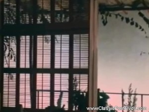 Vintage Pornstar Rough Sex Games