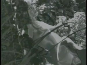 KRISTEN ou LILY LYNN OUTDOOR