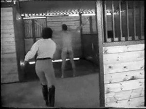 slave whipped by riding mistress(blak)