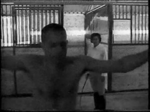 slave whipped by riding mistress(blak)