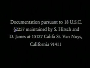 retro Brittany Andrews from badgirls5