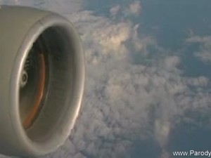 Fuck A Flight Attendant In Flight