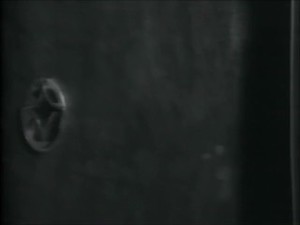 Laurie Ann Carr Music Video - Somebody's