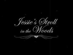 A Stroll in the Woods