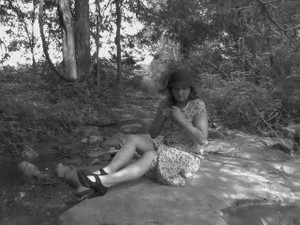 A Stroll in the Woods