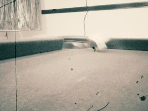 Pool Hustle Vintage