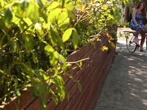 Momentum, VOl.2 - LightsouthernCINEMA