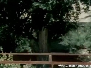 Vntage Sister Spies brother Fucking Cousin