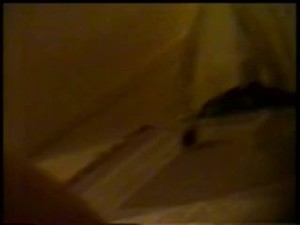 Vintage Home Video 2